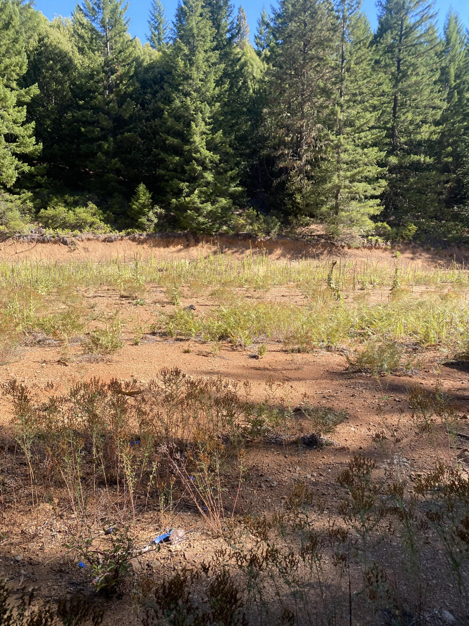 1255 Mcdonald Creek Road Burnt Ranch, CA 95527 - Photo 40 of 44