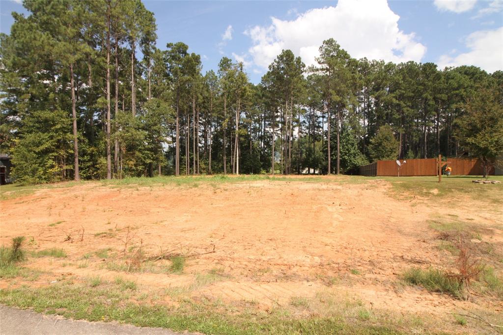 9 Castle Dale Loop Shreveport, LA 71107 - Photo 1 of 1 a swimming pool with trees in the background