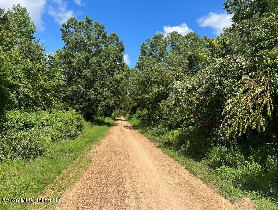 873 Glass Road Michigan City, MS 38647 - Photo 19 of 22 IMG_2492