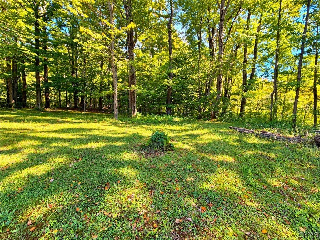 1662 County Rte 4 Palermo, NY 13036 - Photo 10 of 13 Very private