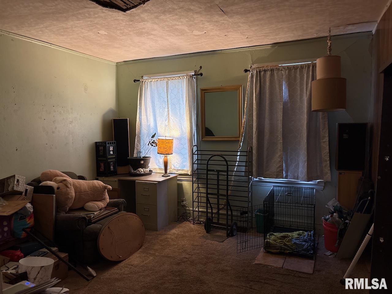 1214 West Butler Street Peoria, IL 61605 - Photo 3 of 23