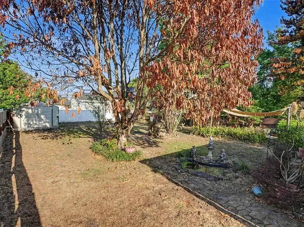 a view of a yard with large trees
