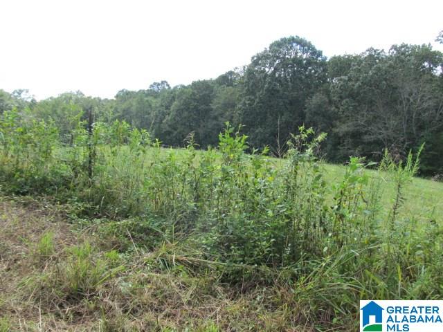 79 Highway 79, Unit 33 Cleveland, AL 35049 - Photo 27 of 32