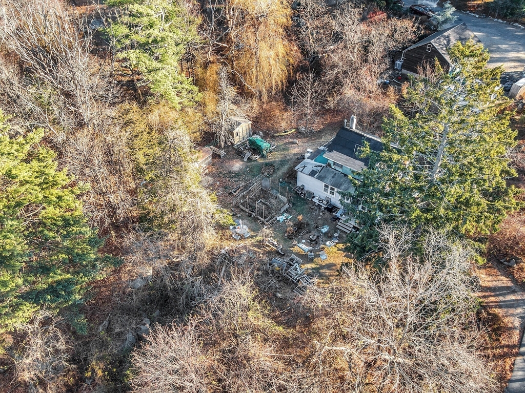 2 Great Hill Road Gloucester, MA 01930 - Photo 3 of 11 a view of a forest with a tree