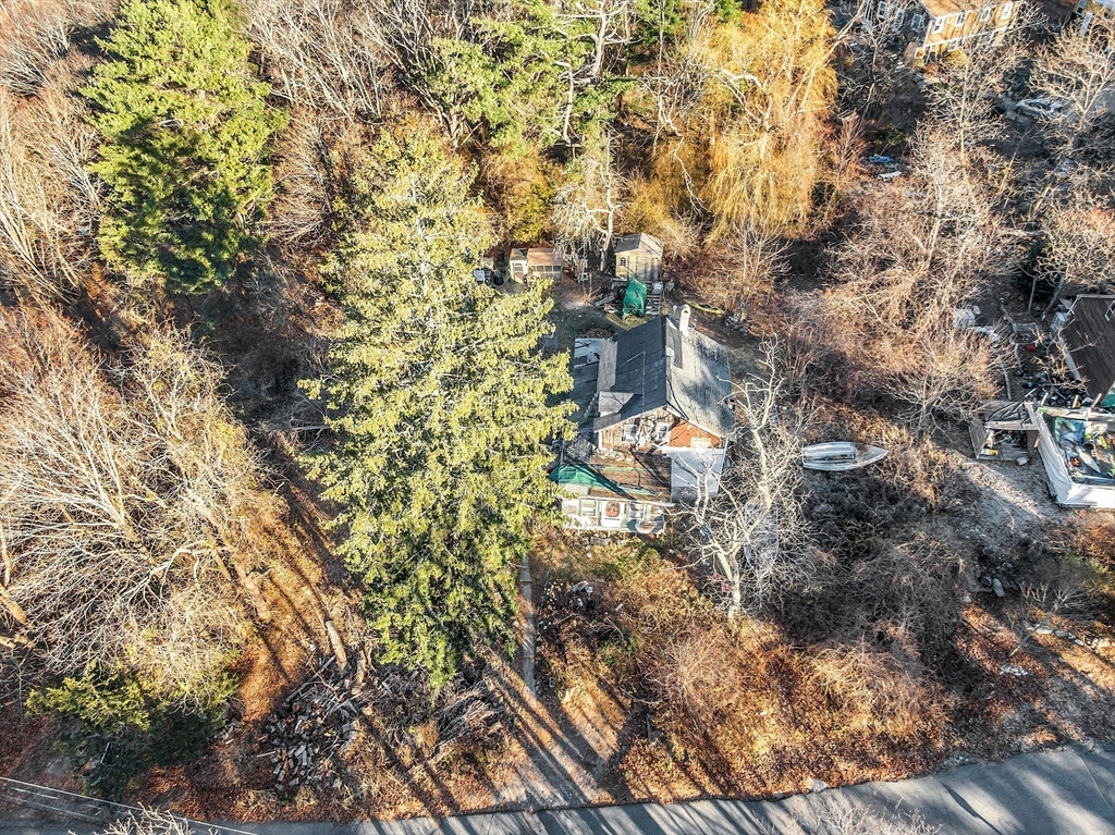 2 Great Hill Road Gloucester, MA 01930 - Photo 6 of 11 a backyard of a house with lots of trees