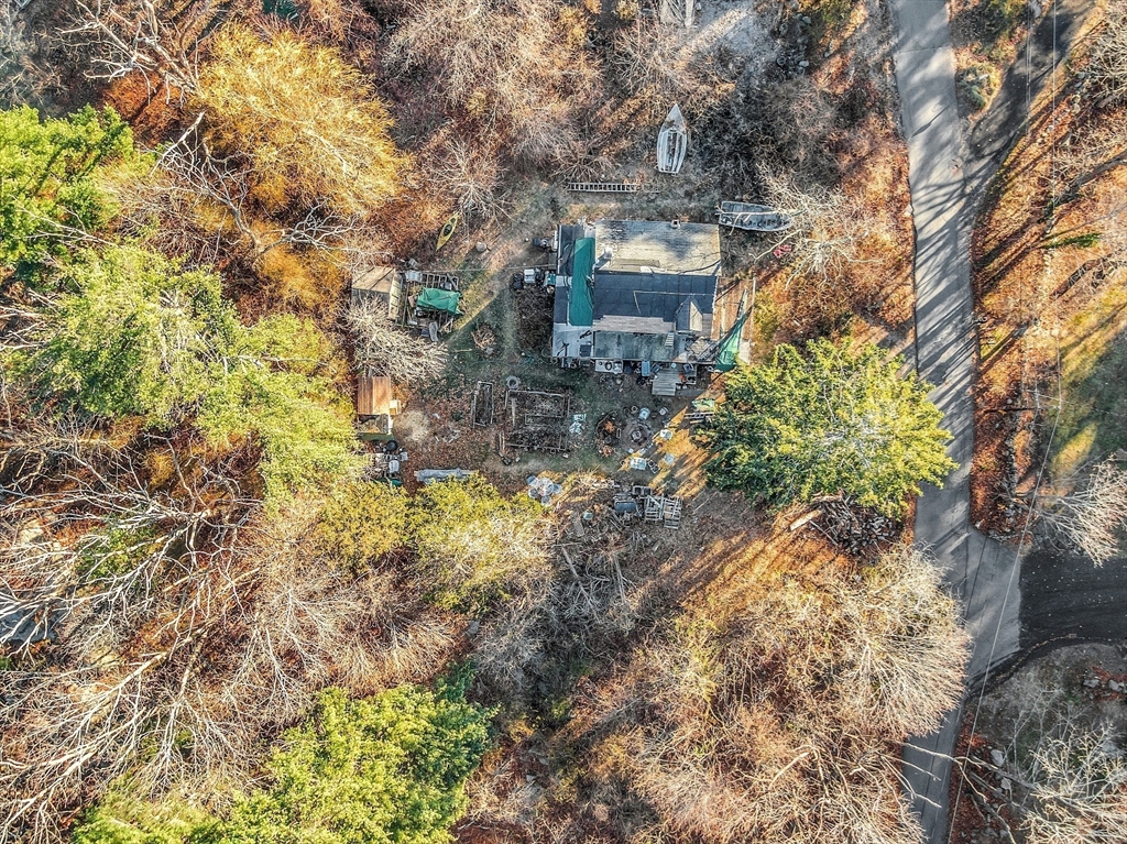 2 Great Hill Road Gloucester, MA 01930 - Photo 8 of 11 a view of a yard with plants and large trees