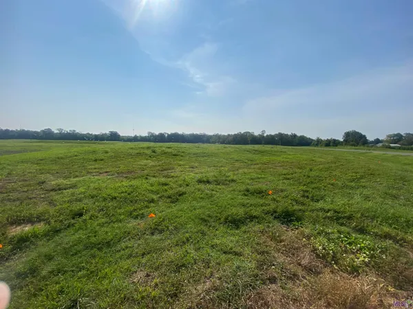 $164,900 | Lot 19 Buddy Gore Road, Gonzales, LA 70737