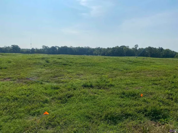 $164,900 | Lot 19 Buddy Gore Road, Gonzales, LA 70737