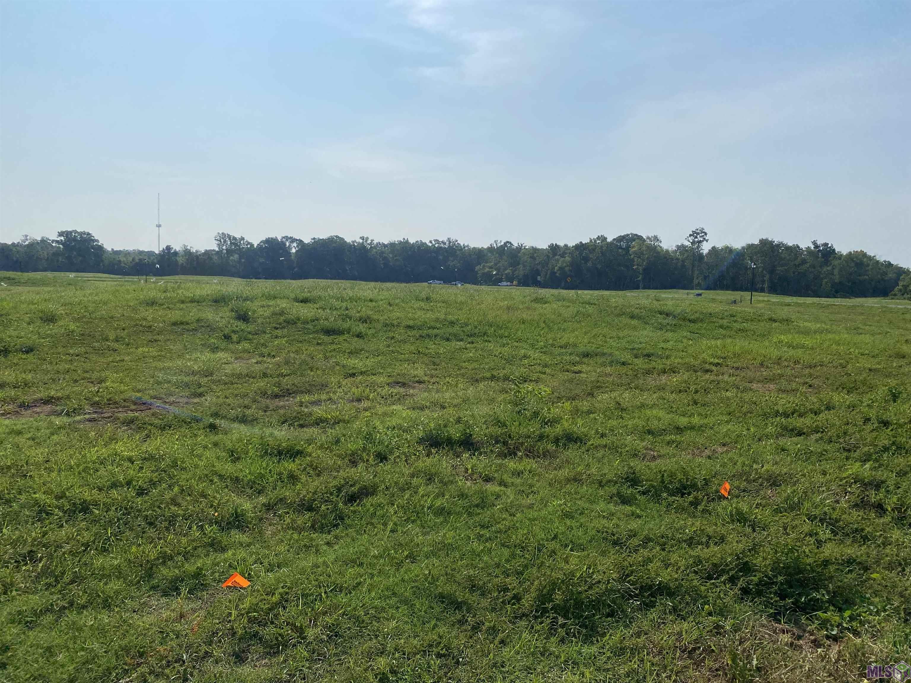Lot 19 Buddy Gore Road Gonzales, LA 70737 - Photo 2 of 5