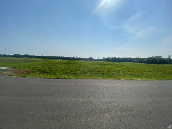 $164,900 | Lot 19 Buddy Gore Road, Gonzales, LA 70737