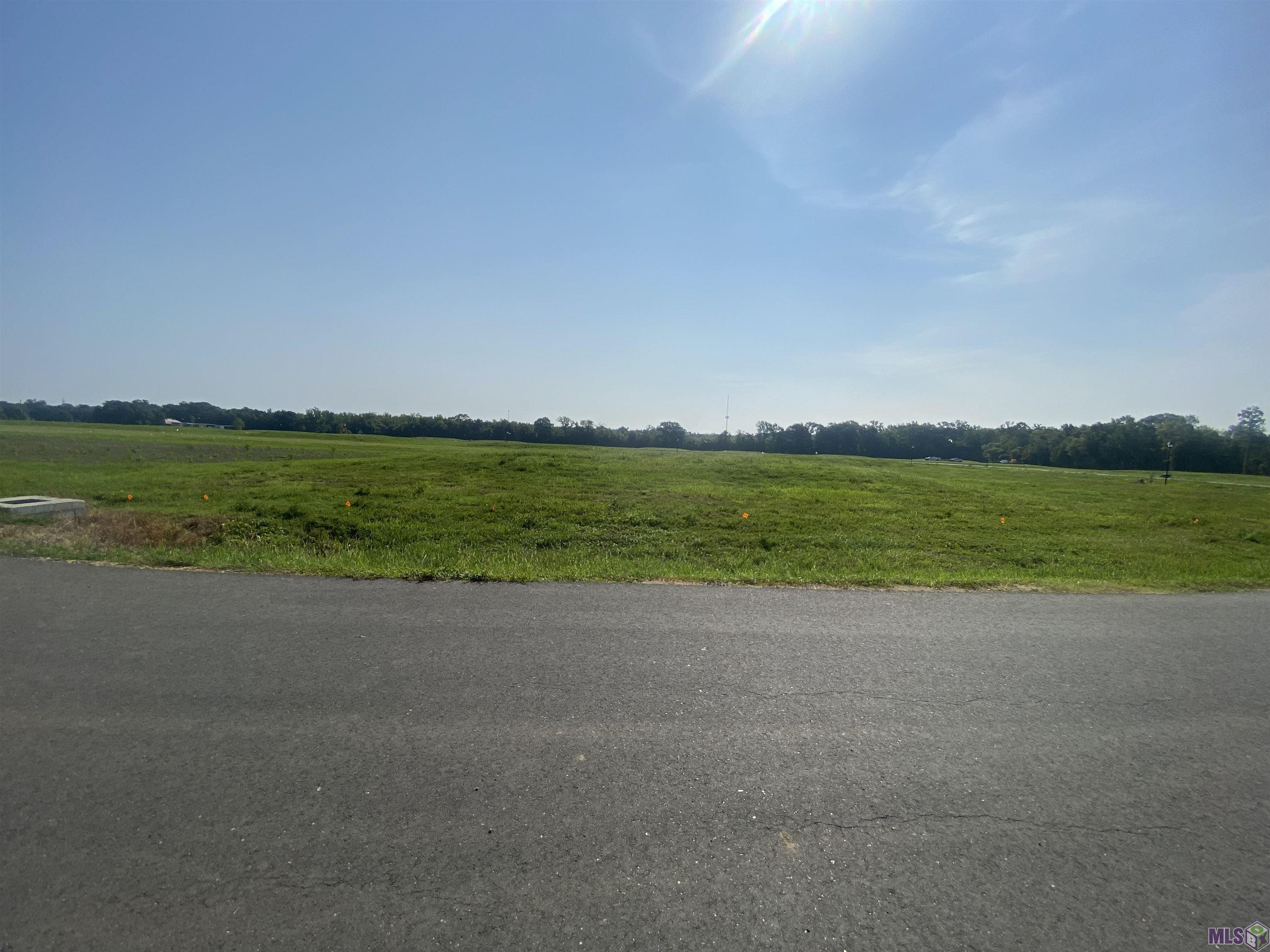Lot 19 Buddy Gore Road Gonzales, LA 70737 - Photo 5 of 5