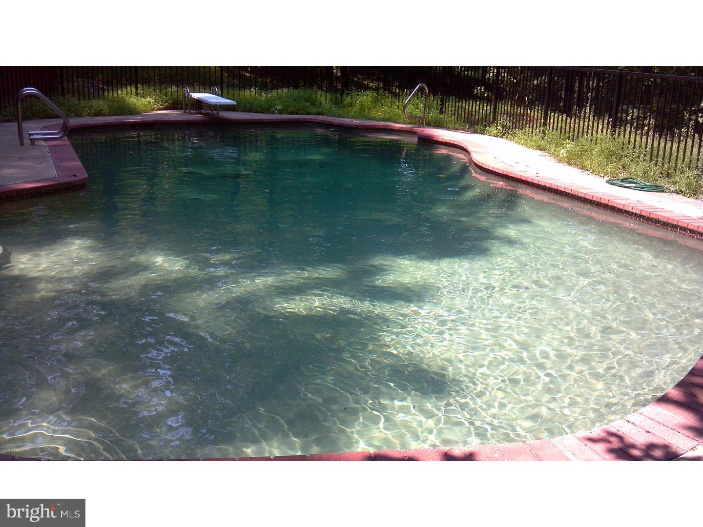 2795 Dark Hollow Road Jamison, PA 18929 - Photo 17 of 19 Pool