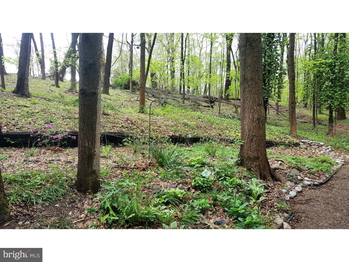 2795 Dark Hollow Road Jamison, PA 18929 - Photo 18 of 19 View in Back