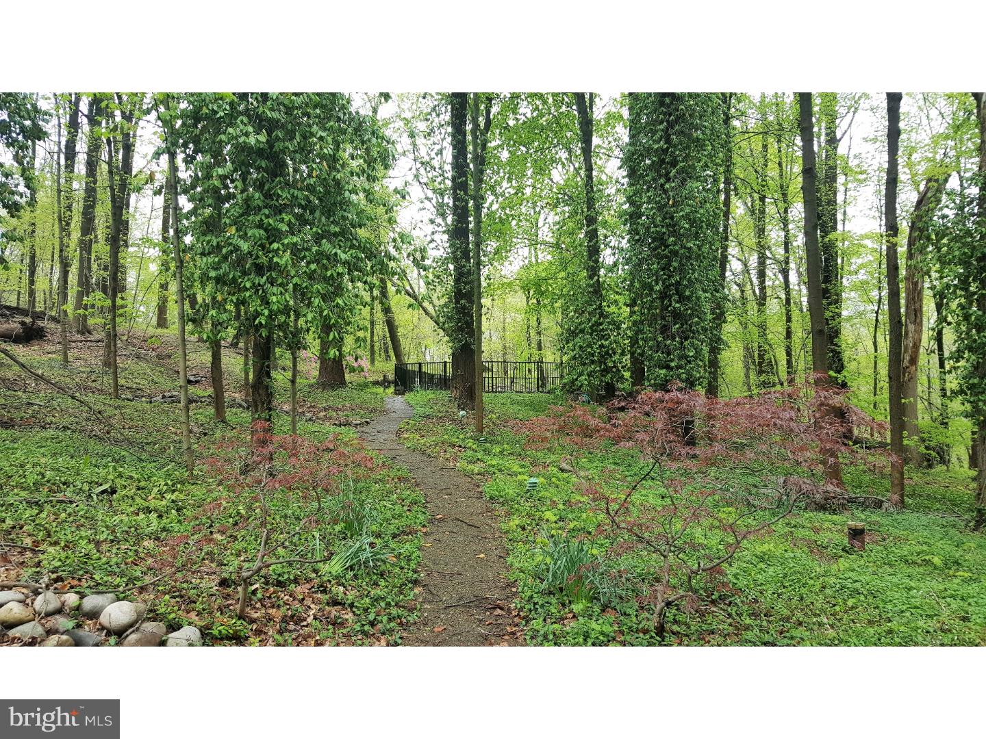 2795 Dark Hollow Road Jamison, PA 18929 - Photo 19 of 19 View in Back
