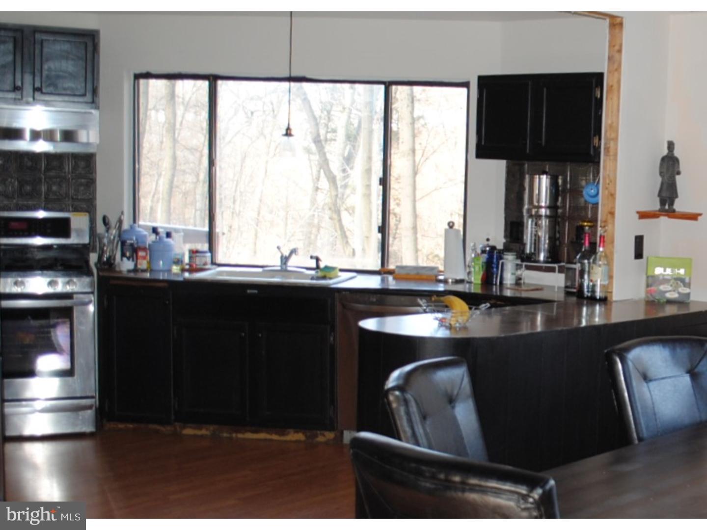2795 Dark Hollow Road Jamison, PA 18929 - Photo 4 of 19 Kitchen