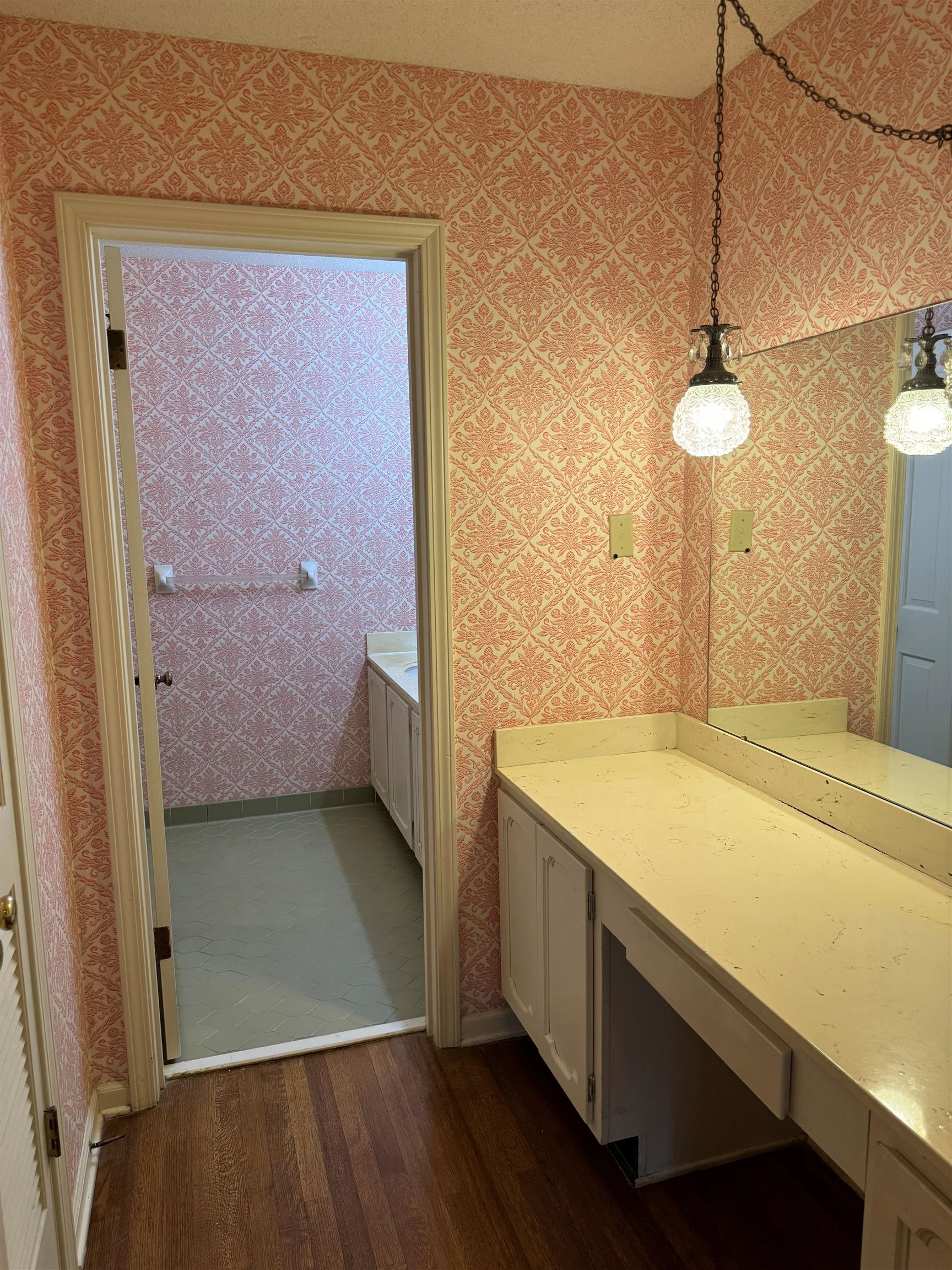 6738 River Birch Road Memphis, TN 38119 - Photo 11 of 17 Bathroom with hardwood / wood-style flooring and vanity