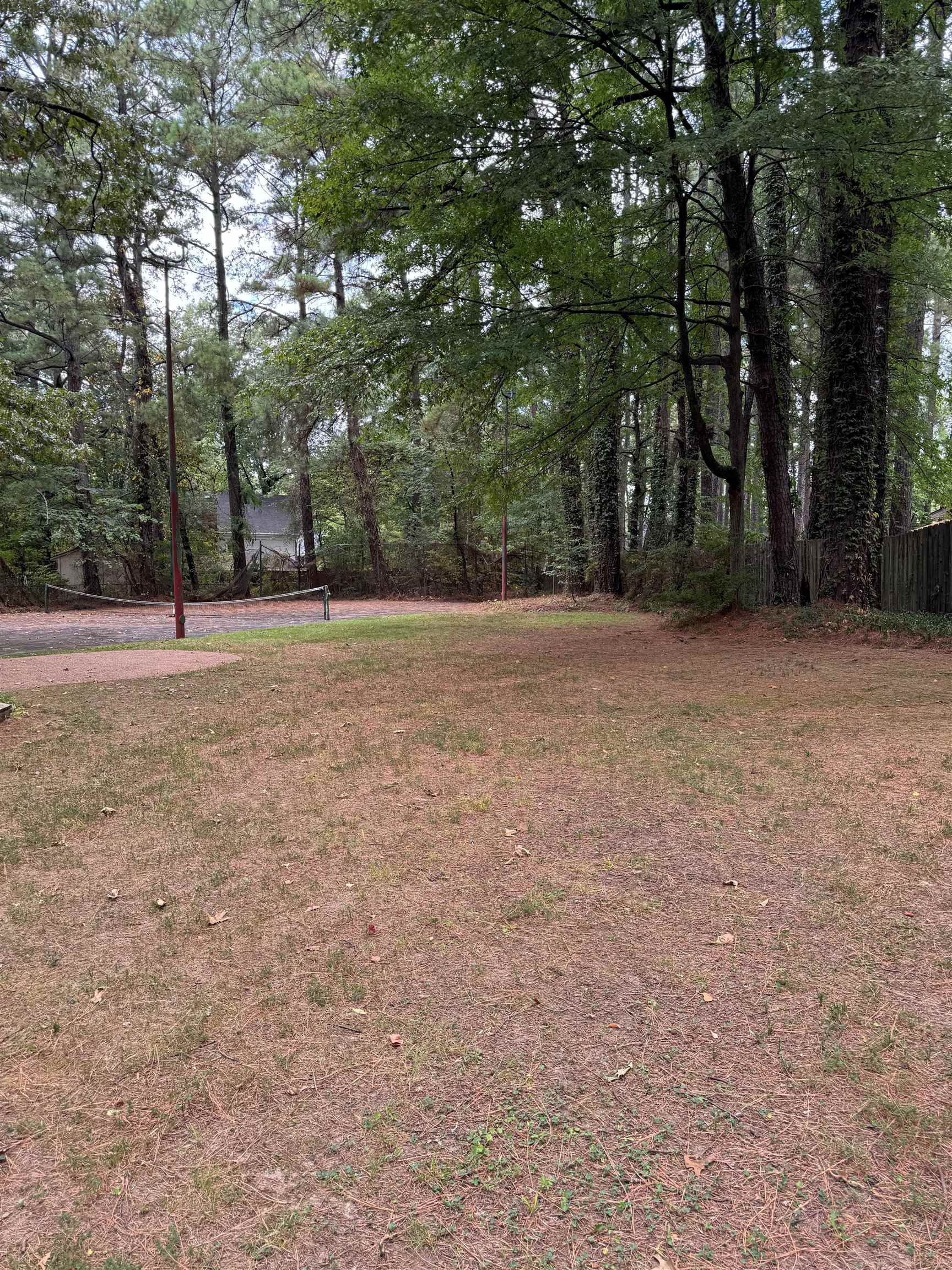 6738 River Birch Road Memphis, TN 38119 - Photo 17 of 17 View of yard