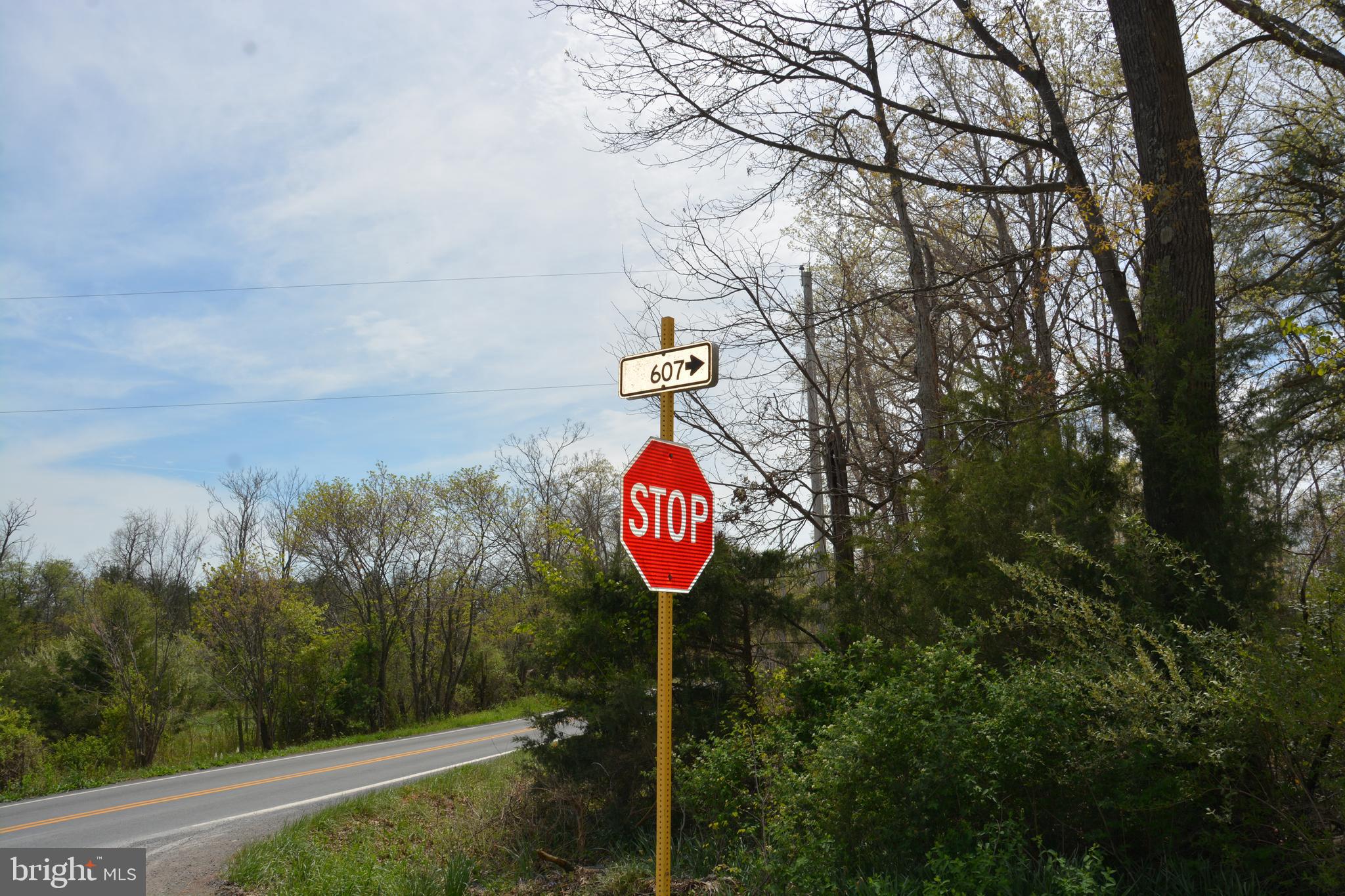 Fall Run Lane, Unit 15 Winchester, VA 22602 - Photo 24 of 24 Heishman Lane, the sign is down. Rt. 607