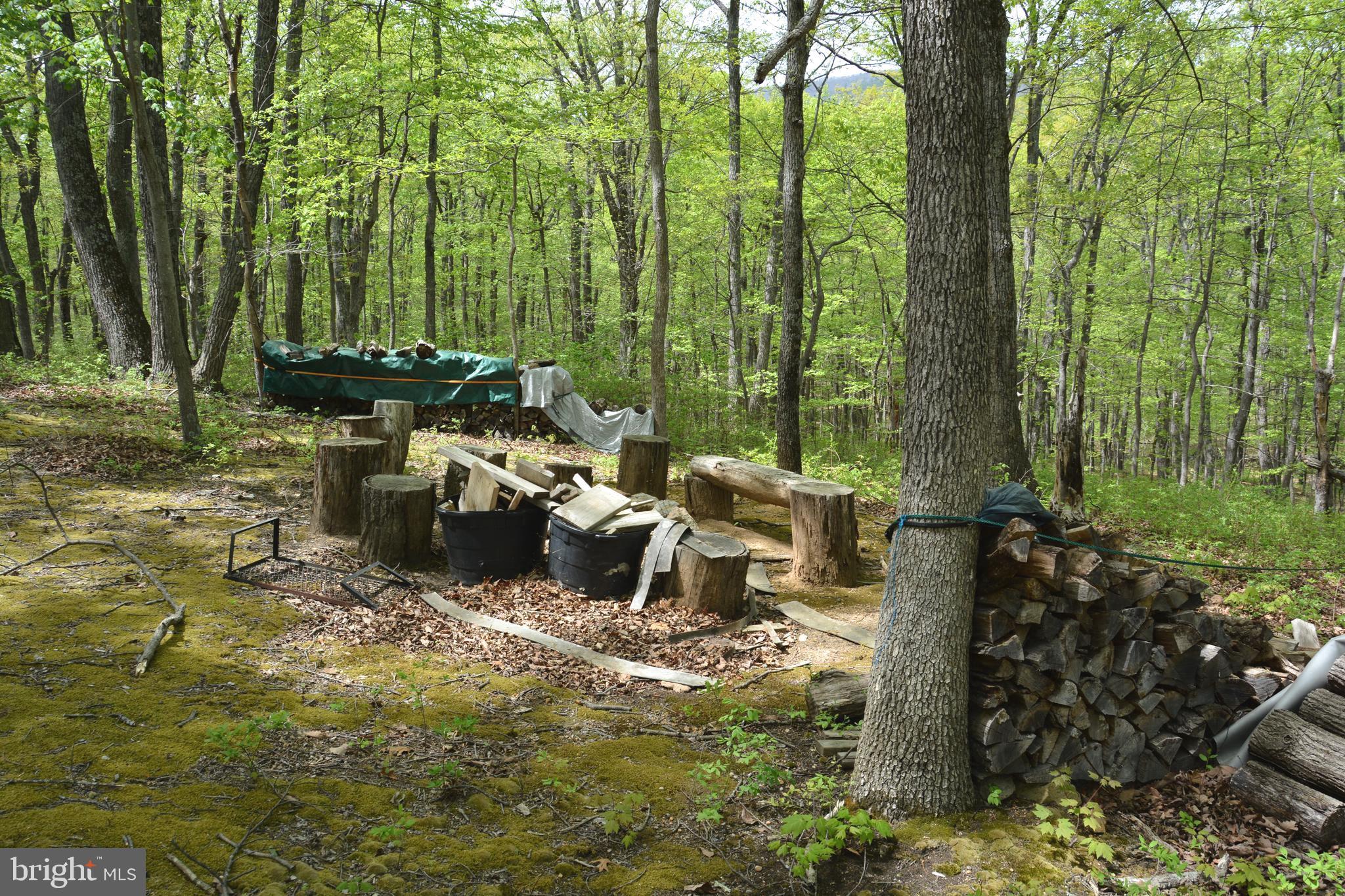 Fall Run Lane, Unit 15 Winchester, VA 22602 - Photo 3 of 24 Neat campsite, firepit w/ firewood