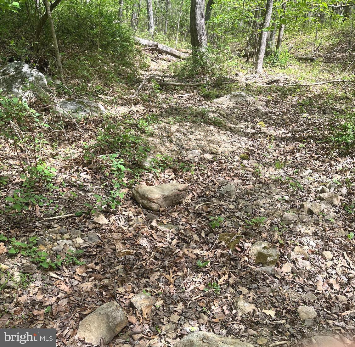 Fall Run Lane, Unit 15 Winchester, VA 22602 - Photo 5 of 24 Dry creek bed across the 10 acre lot