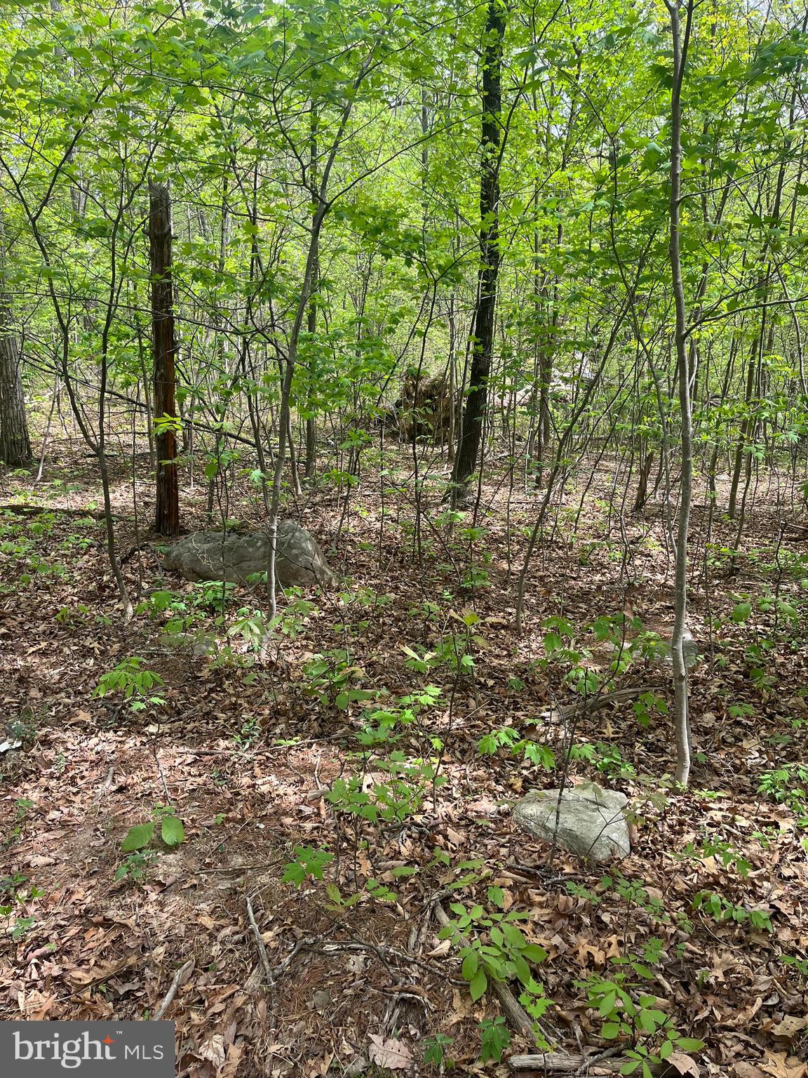 Fall Run Lane, Unit 15 Winchester, VA 22602 - Photo 8 of 24