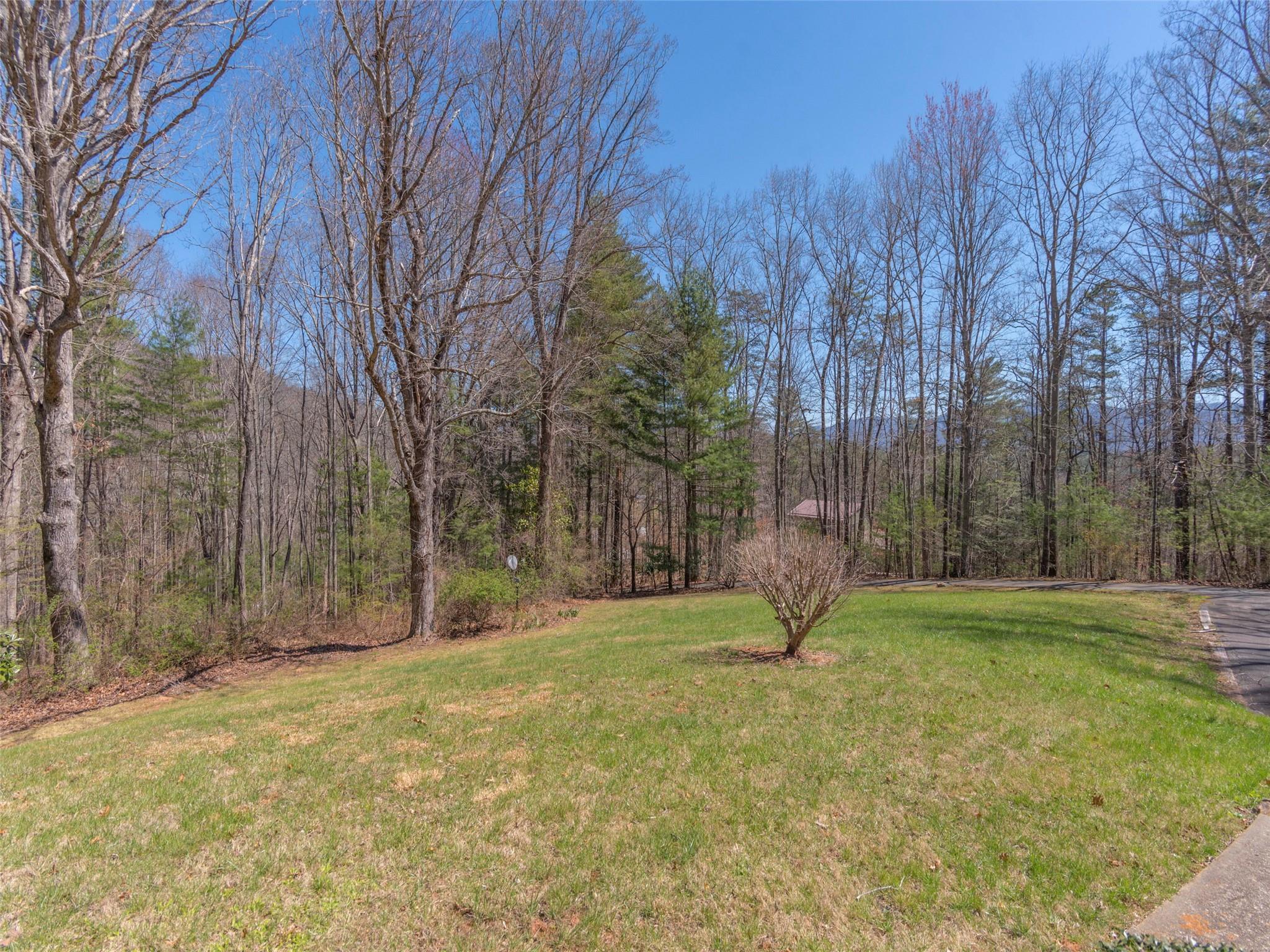 2168 Riceville Road Asheville, NC 28805 - Photo 15 of 22 Gallery Image 15