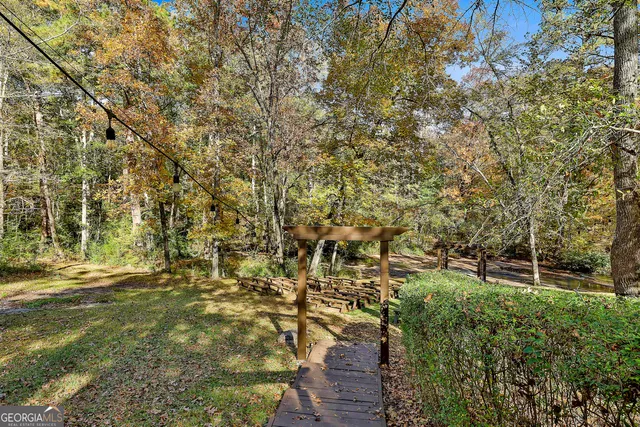 a view of a yard with plants and trees