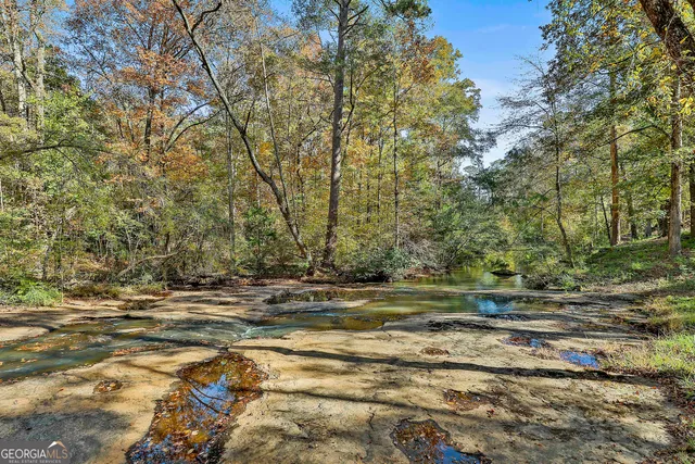 a view of a yard with a tree