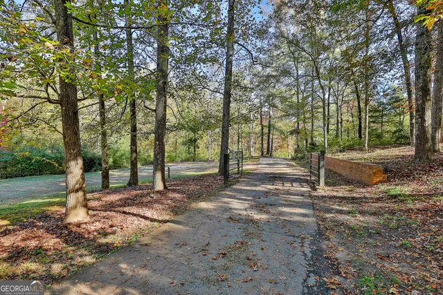 a view of a backyard with large trees