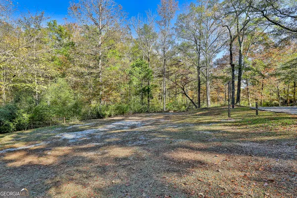 a view of a yard with a tree