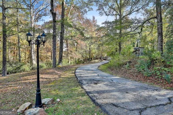 a view of a park with large trees