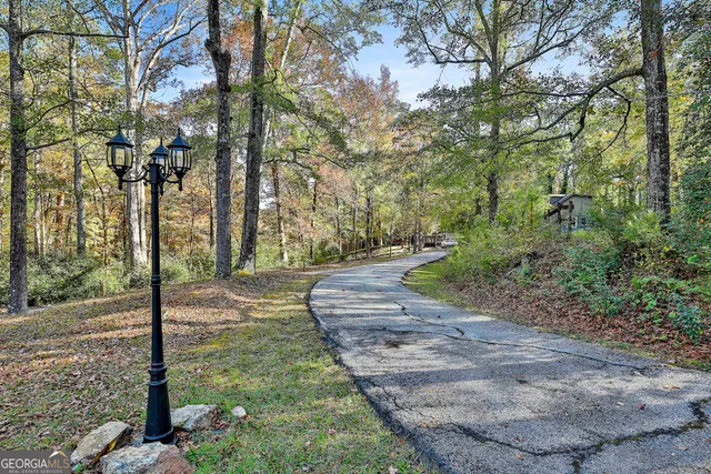 a view of a park with large trees