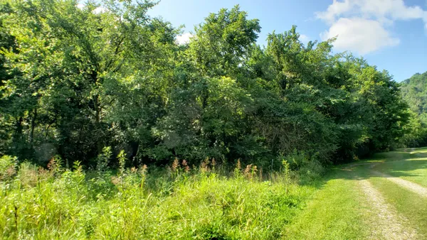 a view of a garden