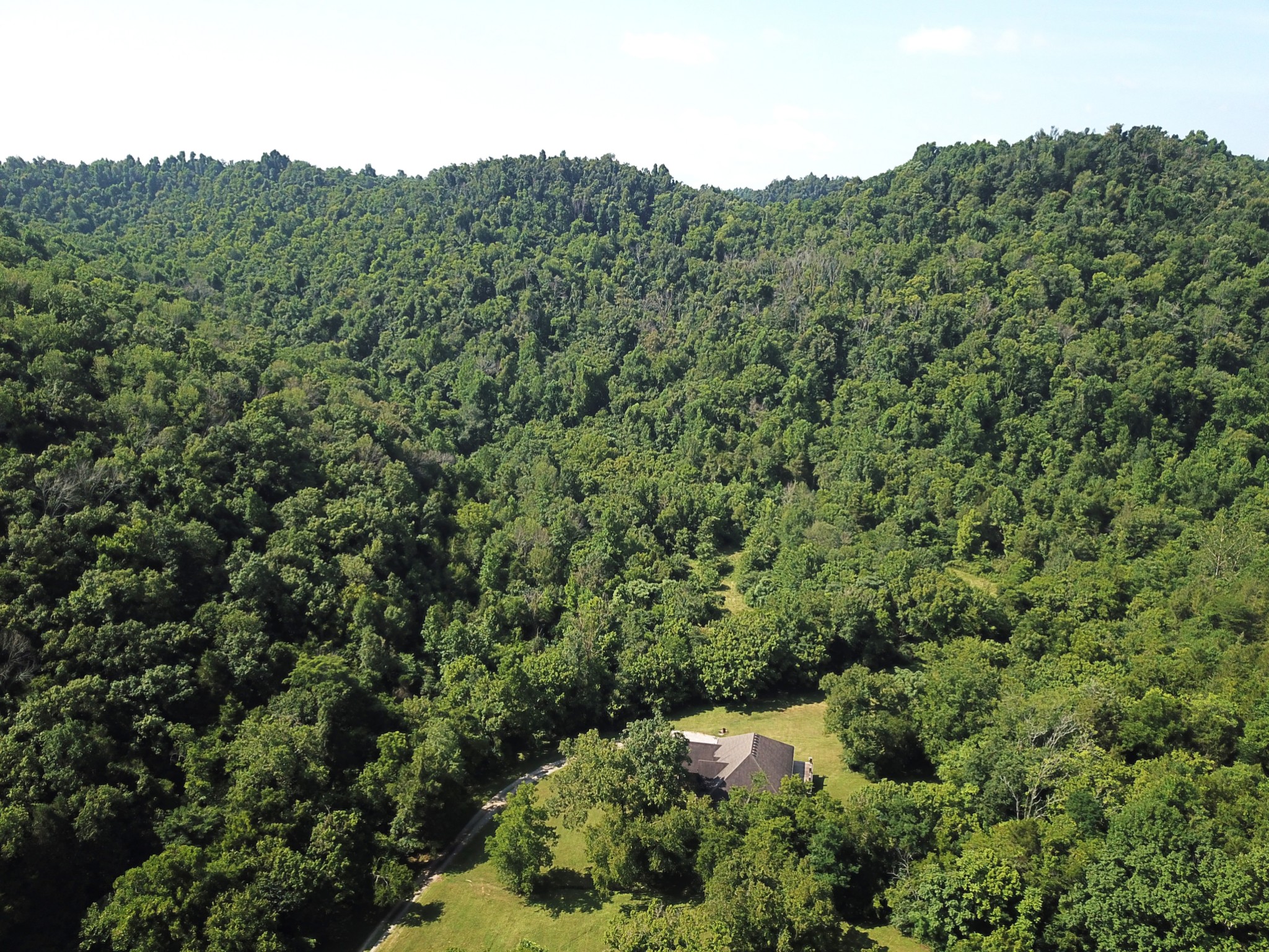 8100 Eaton Hollow Road Christiana, TN 37037 - Photo 14 of 27 a view of a forest with a street