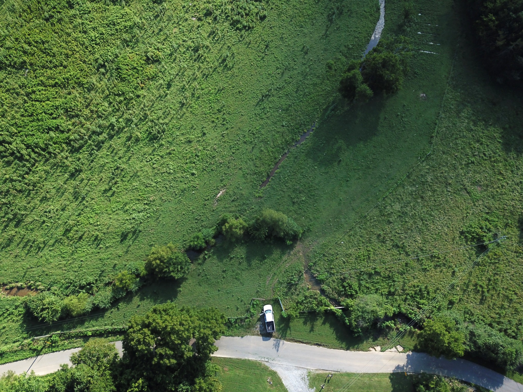 8100 Eaton Hollow Road Christiana, TN 37037 - Photo 20 of 27 a view of a garden with a lake view