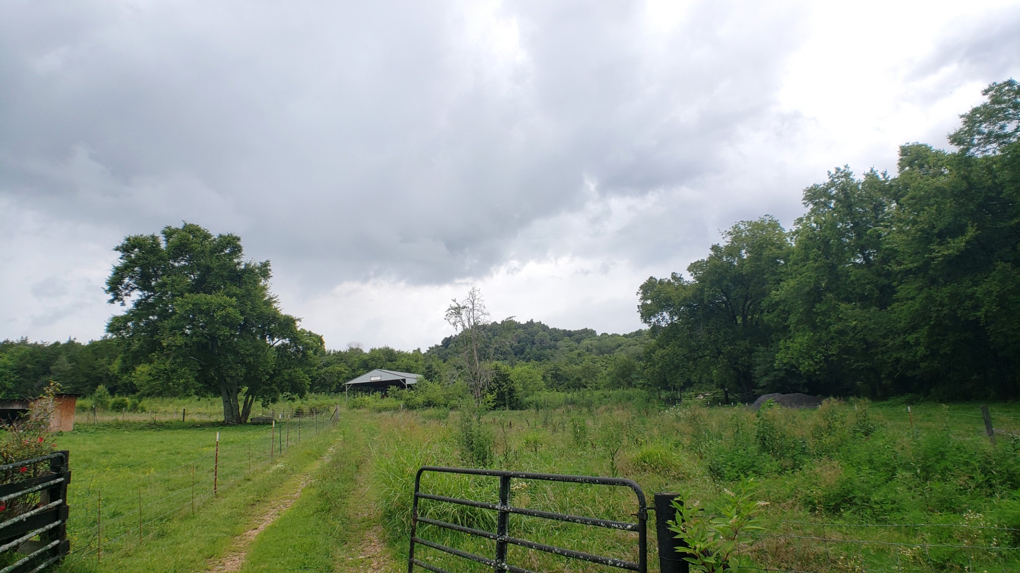 8100 Eaton Hollow Road Christiana, TN 37037 - Photo 23 of 27 a view of a lake with green field