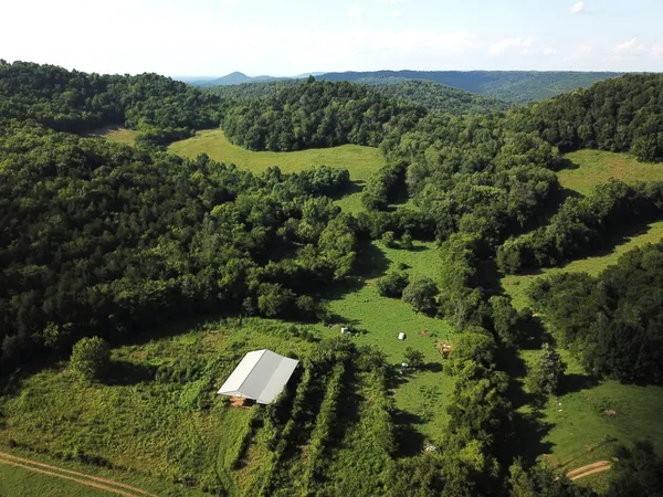 an aerial view of residential house with outdoor space and trees all around