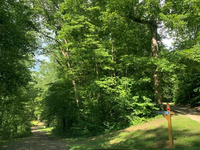 a view of a yard with a tree