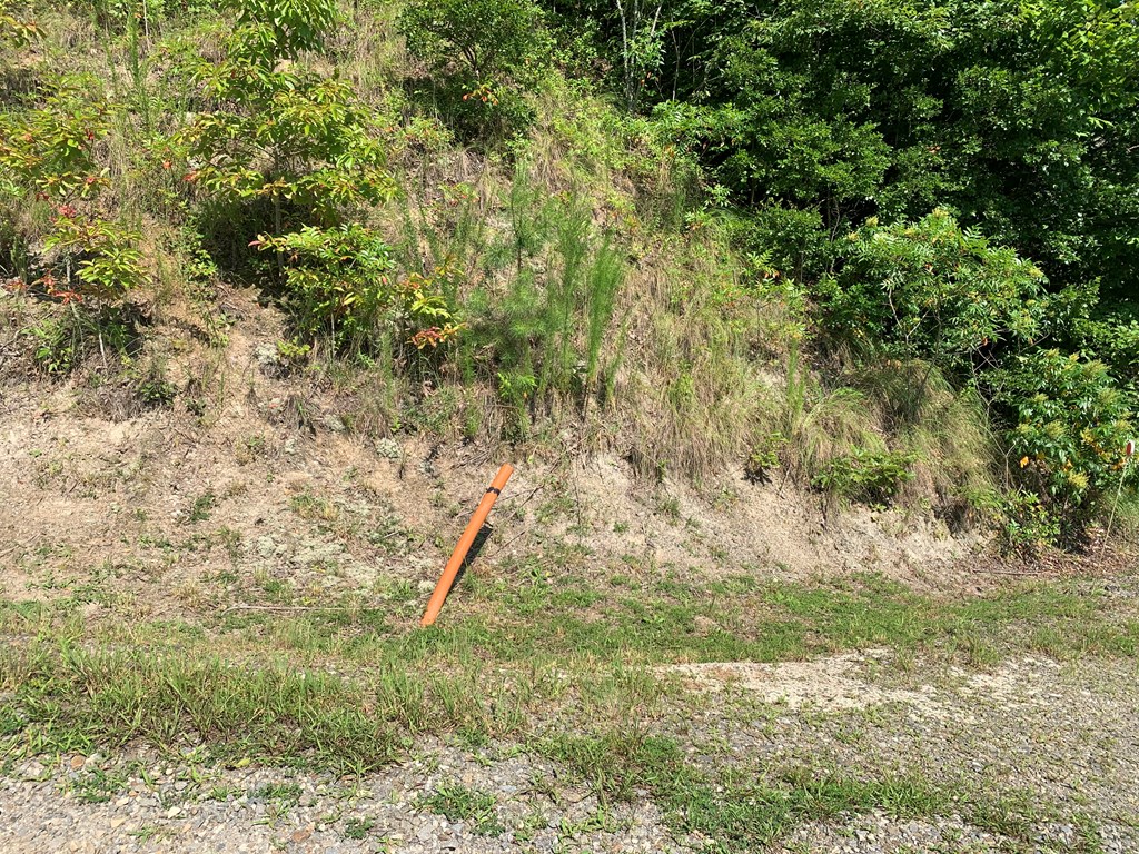 44-45 Silo View Marble, NC 28905 - Photo 15 of 38 a view of a yard with a tree