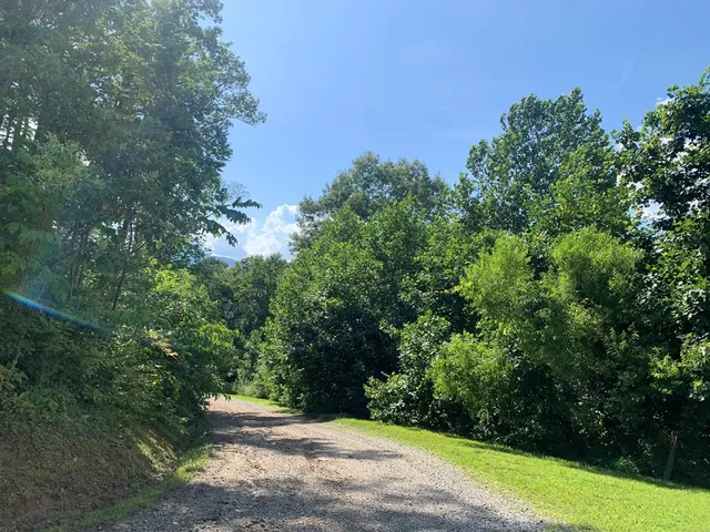 a view of a yard with an trees