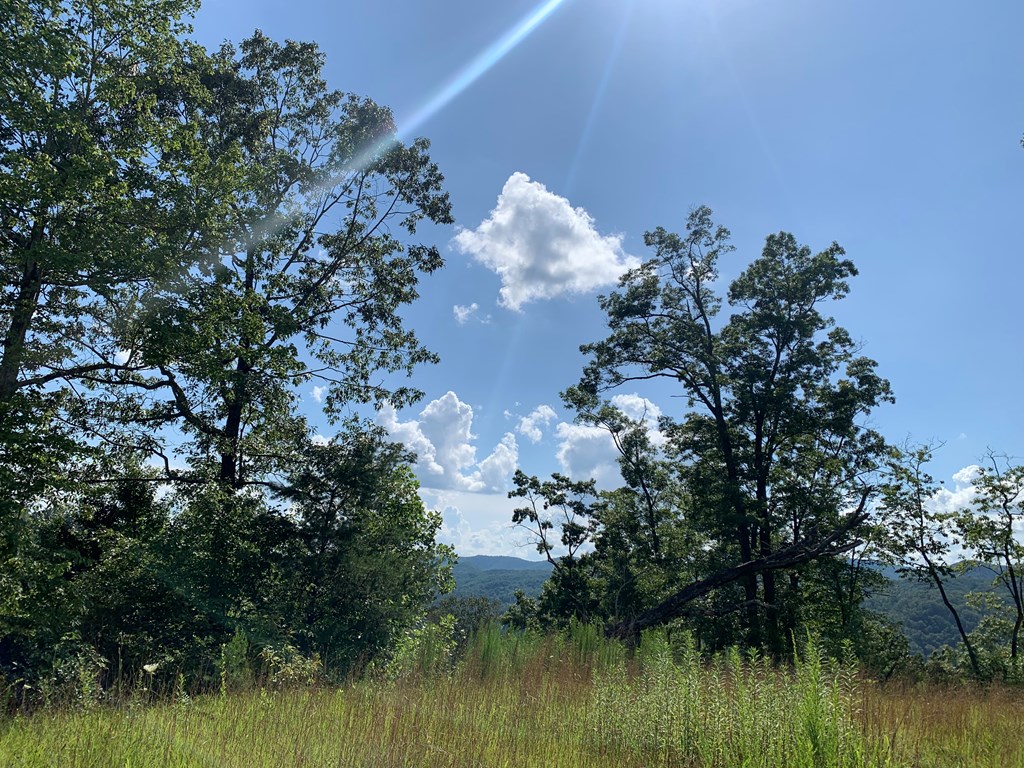 44-45 Silo View Marble, NC 28905 - Photo 19 of 38 a view of a lake