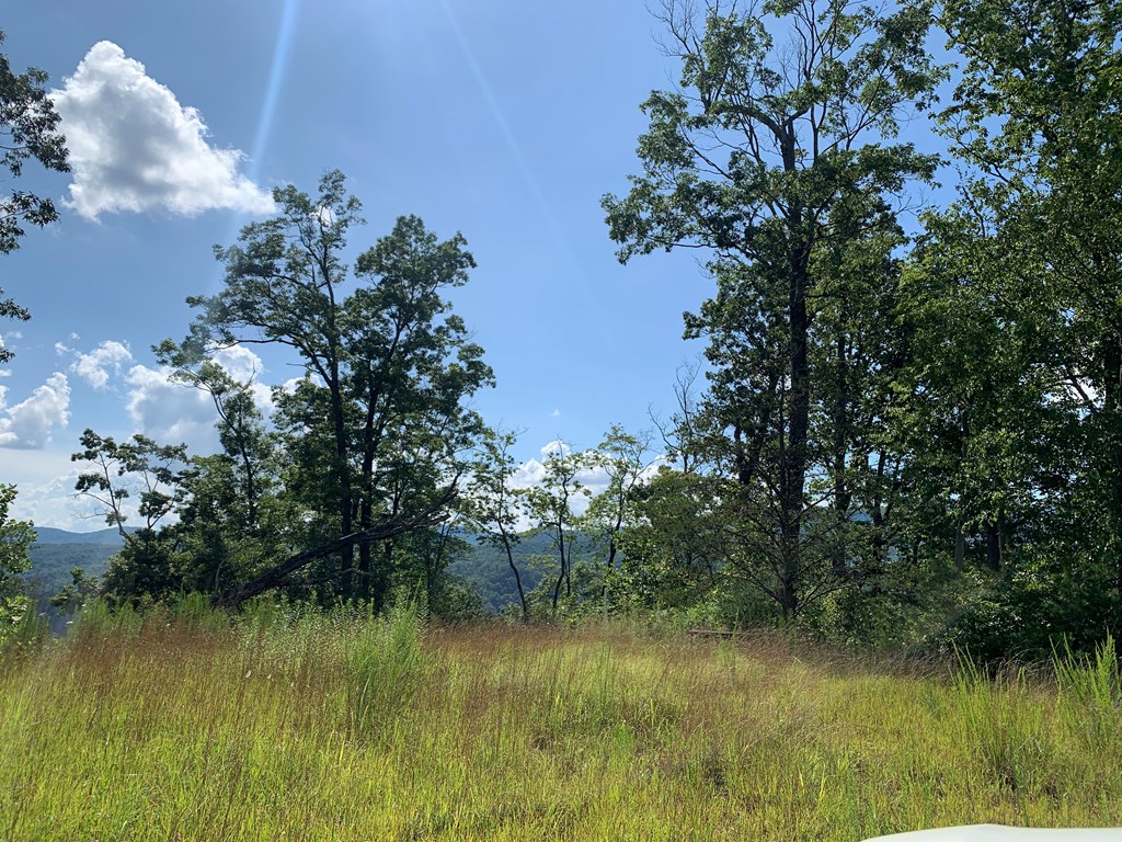 44-45 Silo View Marble, NC 28905 - Photo 20 of 38 a view of lake