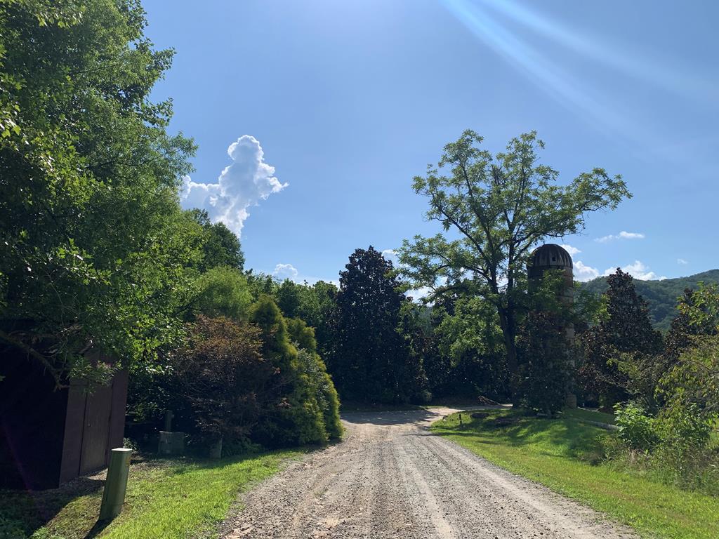 44-45 Silo View Marble, NC 28905 - Photo 2 of 38 a backyard of a house with lots of green space and garden