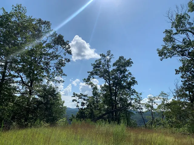 a backyard of a house with lots of green space