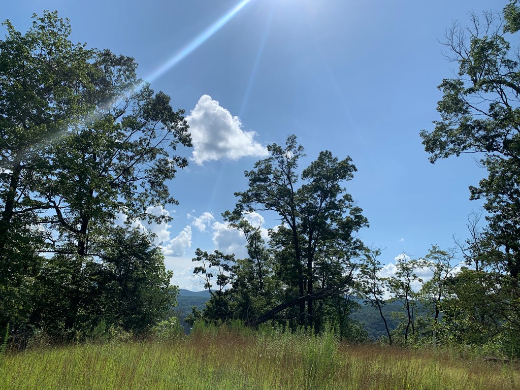 44-45 Silo View Marble, NC 28905 - Photo 21 of 38 a backyard of a house with lots of green space