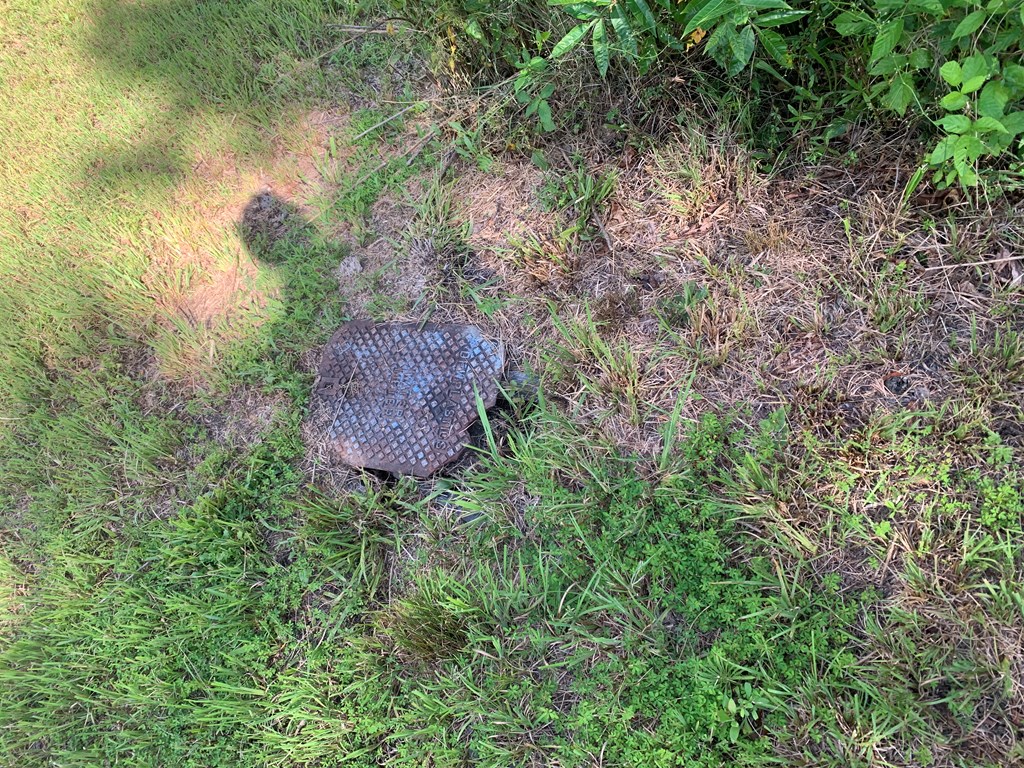 44-45 Silo View Marble, NC 28905 - Photo 22 of 38 a view of a garden with a tree