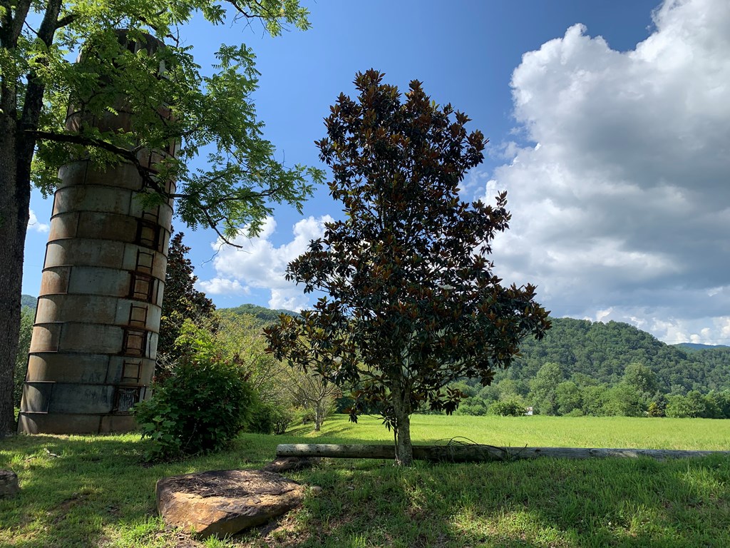 44-45 Silo View Marble, NC 28905 - Photo 24 of 38 a view of a garden