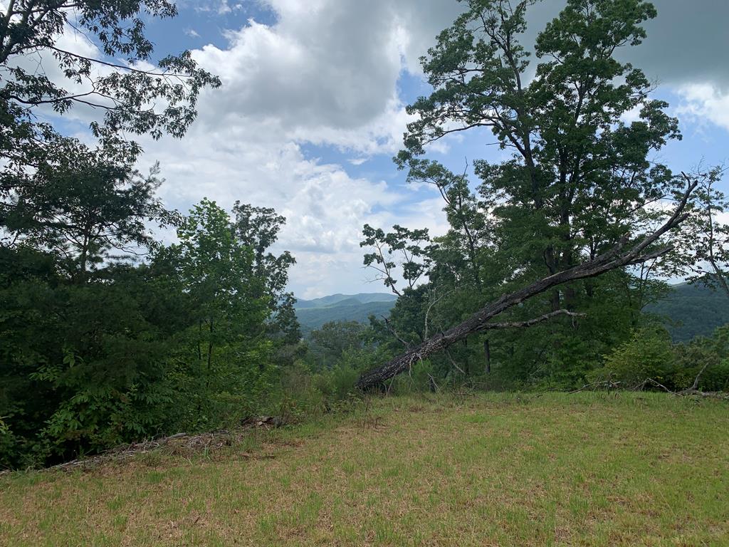 44-45 Silo View Marble, NC 28905 - Photo 25 of 38 a view of a yard with a tree
