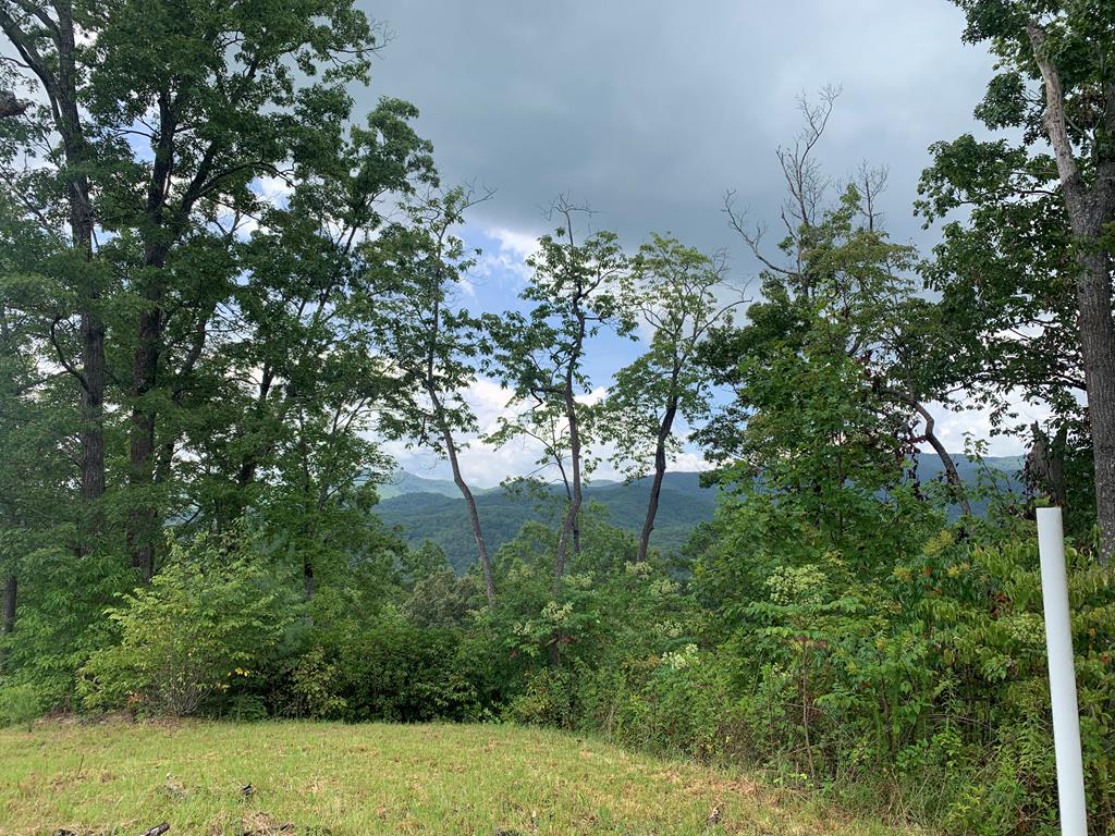 44-45 Silo View Marble, NC 28905 - Photo 26 of 38 a view of a garden