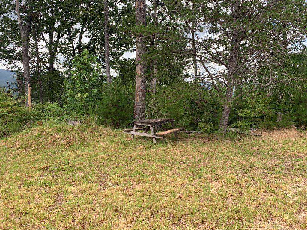 44-45 Silo View Marble, NC 28905 - Photo 27 of 38 a wooden bench sitting in the middle of a forest